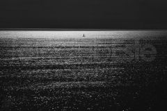 25__DSC0165_1-01-02