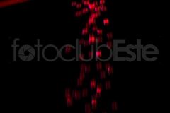53__DSC0174