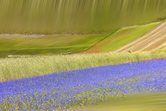 Castelluccio-panorama-12-copia